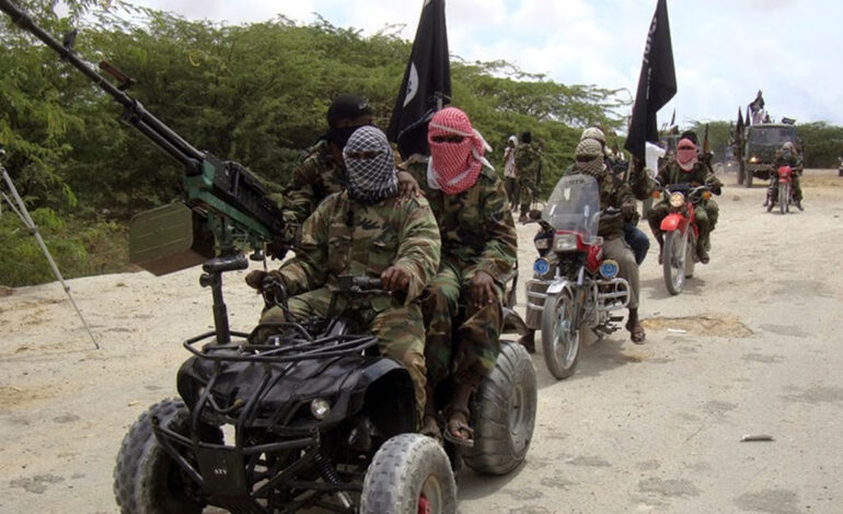  NIGERIA: 96 BOKO HARAM, ISWAP SPONSORS, 123 COMPANIES TIED TO TERRORISM DISCOVERED