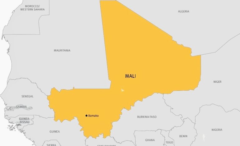  MALI DEFAULTS ON DOMESTIC DEBT