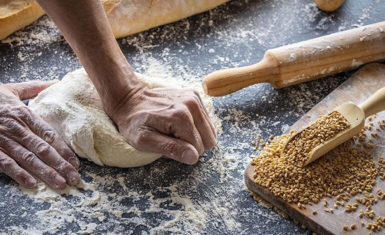  ALGERIA BANS FOOD EXPORTS DUE TO SHORTAGES