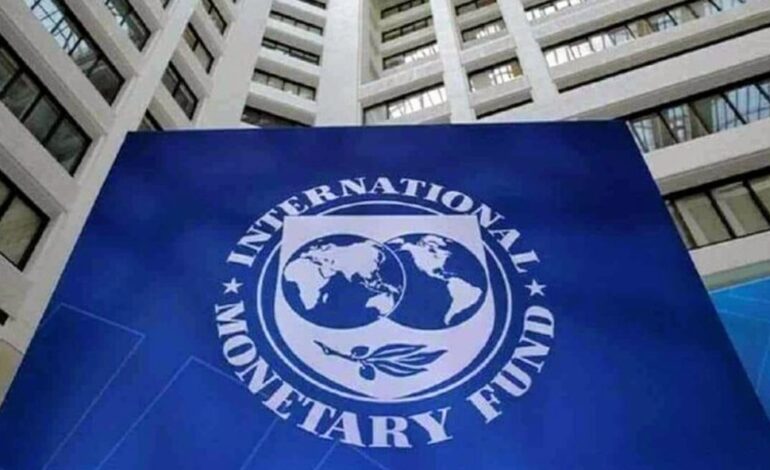  IMF: AFRICA VULNERABLE TO HIGHER FOOD, FUEL PRICES
