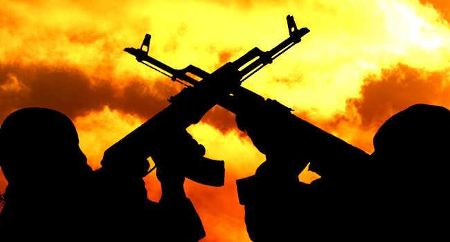  CAMEROUN: GUNMEN KIDNAP SENATOR, DEMAND RANSOM