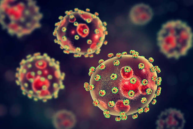  BREAKING NEWS: ENDEMIC VIRUS FOUND IN SOUTH AFRICAN MAN RETURNING FROM NIGERIA
