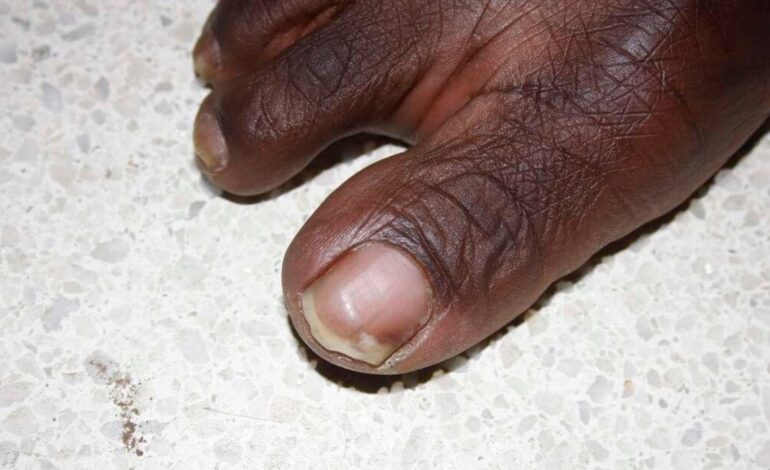  ZIMBABWE MINISTER SAYS TOE SELLING REPORTS ARE FALSE