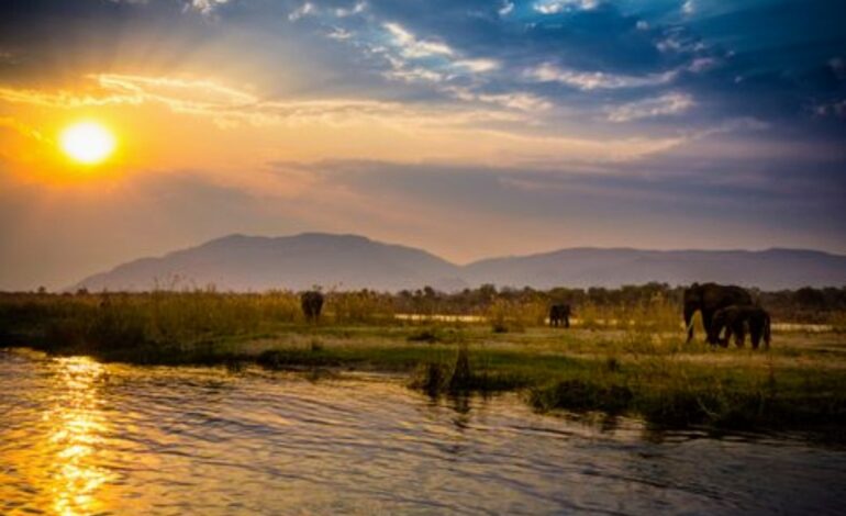  HUNGER STRIKES IN SOME ZAMBIAN CHIEFDOMS DUE TO CLIMATE CHANGE