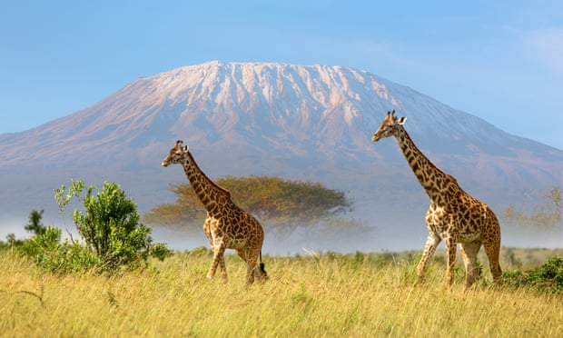  HIGH SPEED INTERNET SET UP ON MOUNT KILIMANJARO
