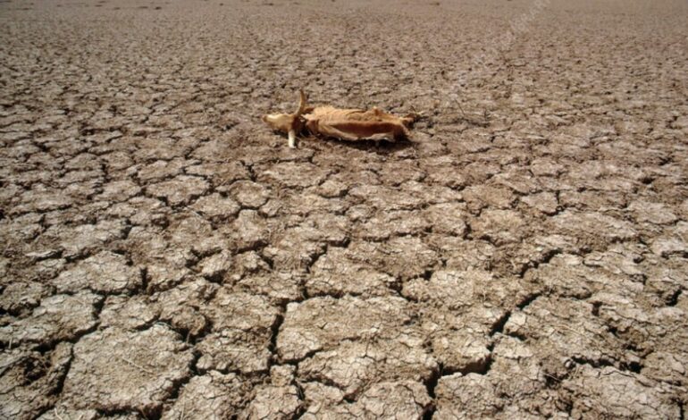  NIGER CREATES INDUCED RAIN TO FIGHT DROUGHT