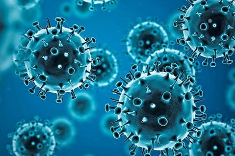  TWO DEATHS AFTER COVID VACCINATION IN SOUTH AFRICA