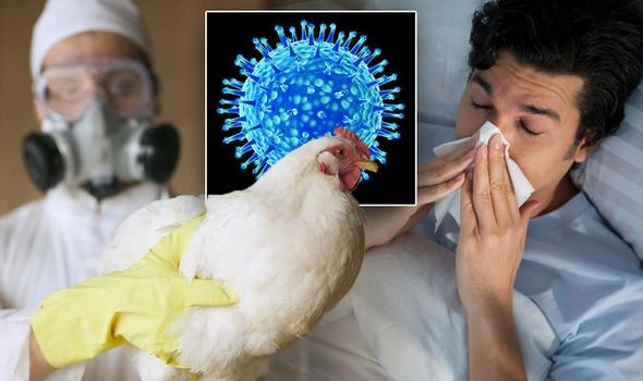  BIRD FLU OUTBREAK MOVES BARBADOS 🇧🇧 TO BAN UK POULTRY