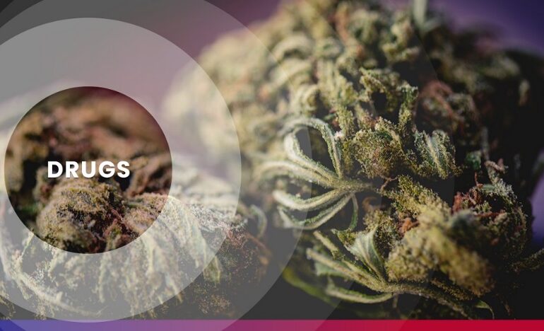  CARIBBEAN MARIJUANA SEIZURES REMAIN LARGEST, BY WEIGHT, AMONG ALL DRUGS SEIZED