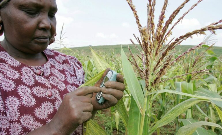  KENYA TEMPORARILY SUSPENDS GMO IMPORTS