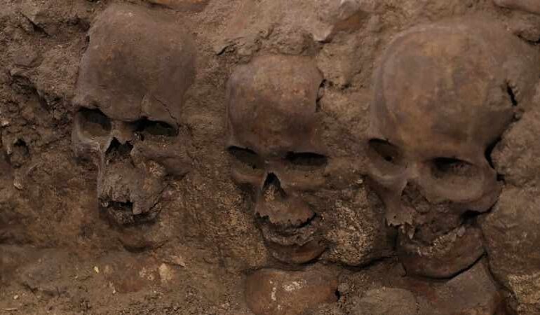  BELGIAN AUCTION HOUSE CANCELS AUCTION OF AFRICAN COLONIAL SKULLS