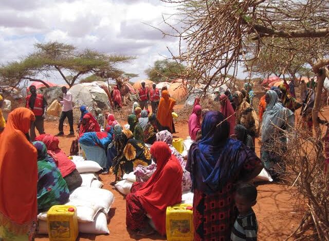  SOMALIA DROUGHT SPARKS CATASTROPHIC EMERGENCY- UN