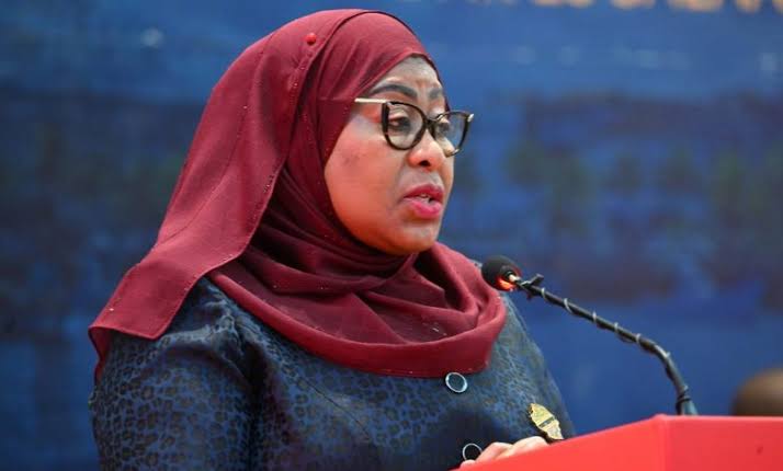TANZANIA PROPOSES LAW AMENDMENTS TO ATTRACT DIASPORA INVESTMENTS