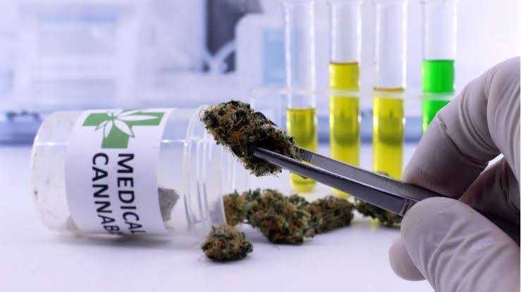  RWANDA NEARS COMPLETION OF EAST AFRICA’S FIRST STATE-OWNED CANNABIS REFINERY