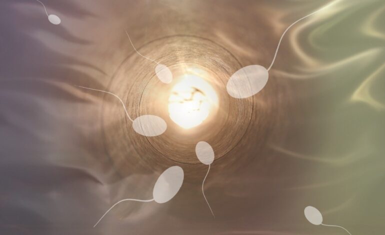 RETHINKING THE BIOLOGICAL CLOCK: WOMEN’S EGGS MAY AGE BETTER THAN THE FERTILITY MISCONCEPTIONS
