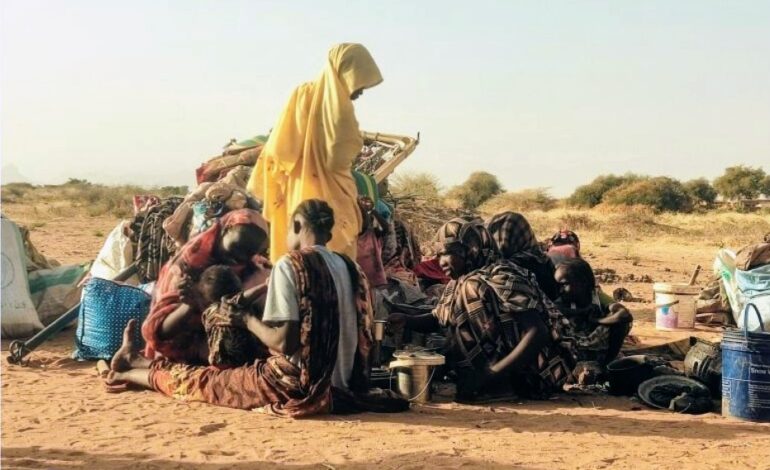 FAMINE DEEPENS IN SUDAN AS CONFLICT ENGULFS AL FASHIR AND KADUGLI