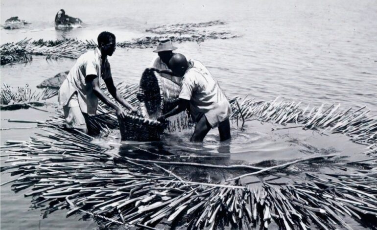 LUOS: A GROWING CULTURAL FORCE SHAPING EAST AFRICA