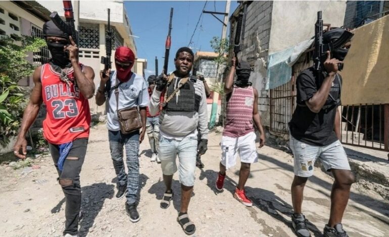 HAITIAN GANGS PROFIT FROM LUCRATIVE BABY EEL TRADE