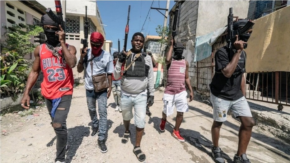 HAITIAN GANGS PROFIT FROM LUCRATIVE BABY EEL TRADE