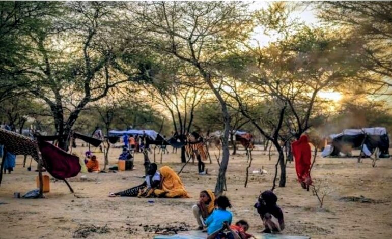 GIRLS AND WOMEN ESCAPING MALI ALLEGE SEXUAL VIOLENCE BY RUSSIAN FORCES