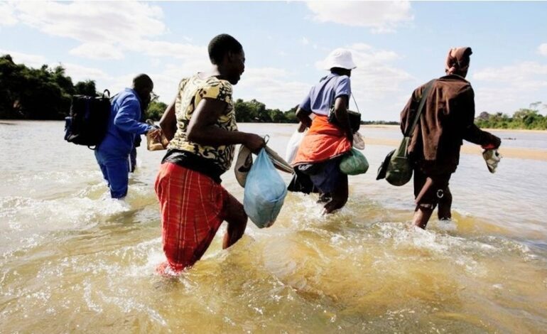 SOUTH AFRICA ARRESTS OVER 1,100 UNDOCUMENTED MIGRANTS AT LIMPOPO BORDER