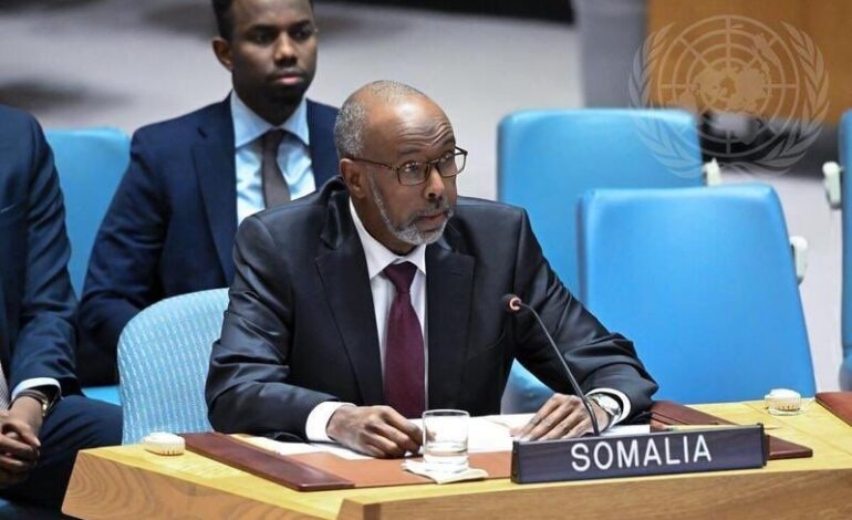  SOMALIA TAKES OVER U.N SECURITY COUNCIL PRESIDENCY