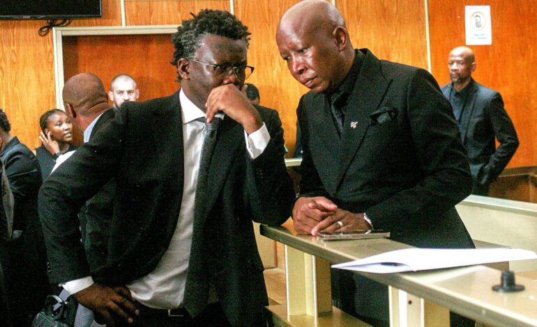 MALEMA COULD FACE UP TO 15 YEARS IN PRISON AS SENTENCING IN FIREARM CASE POSTPONED FOR THREE MONTHS 