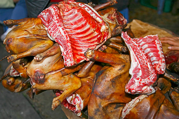 NIGERIA AMONG WORLD’S TOP DOG MEAT CONSUMERS AS TRADITION & DEMAND ENDURE